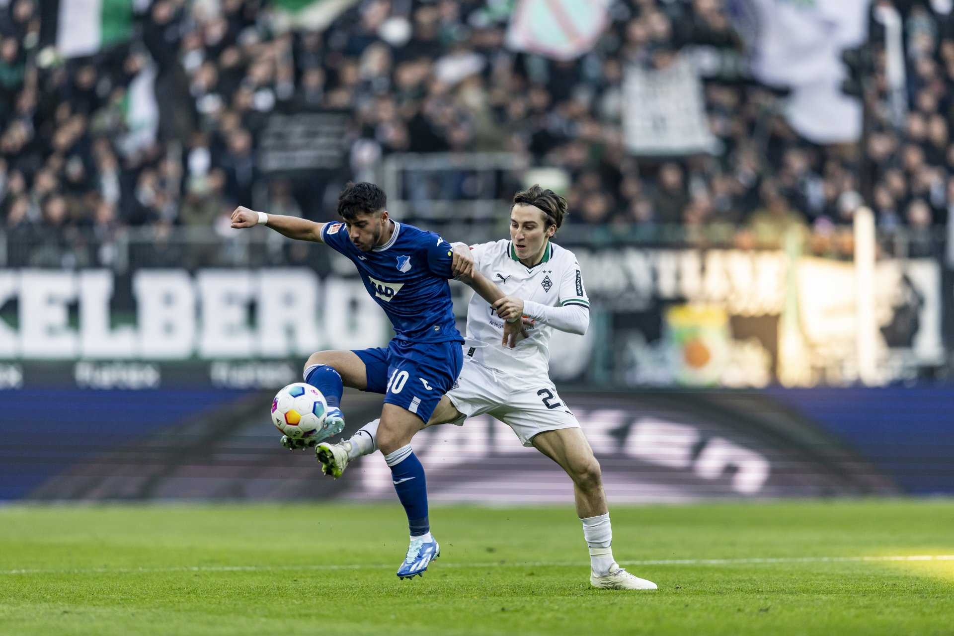 Highlights: Borussia Mönchengladbach - TSG Hoffenheim - FohlenTV